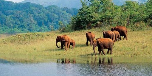 Important Tourist Places in Coorg