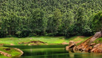 coorg budget tour packages