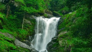 coorg budget tour packages