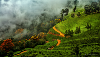 coorg budget tour packages