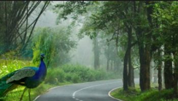 coorg budget tour packages