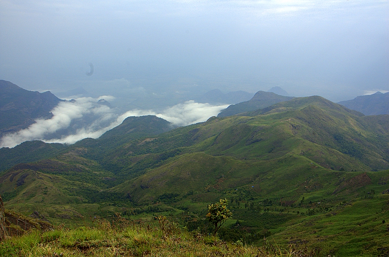 Coorg -Ooty-Kodaikanal Tour Package