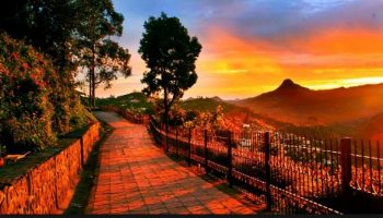 coorg budget tour packages